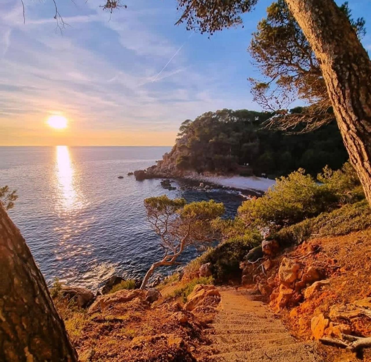 Logement Vue Mer Splendide - Situe A 50 Metres Du Bord De Mer Et 2 Minutes Des Plages - Bandolina מראה חיצוני תמונה