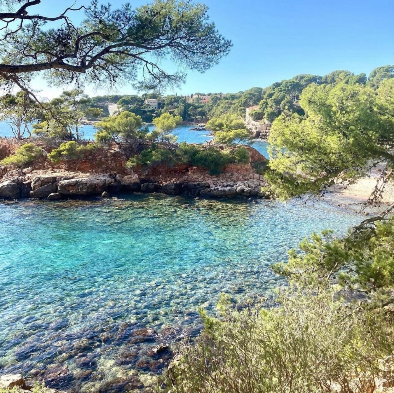 Logement Vue Mer Splendide - Situe A 50 Metres Du Bord De Mer Et 2 Minutes Des Plages - Bandolina מראה חיצוני תמונה